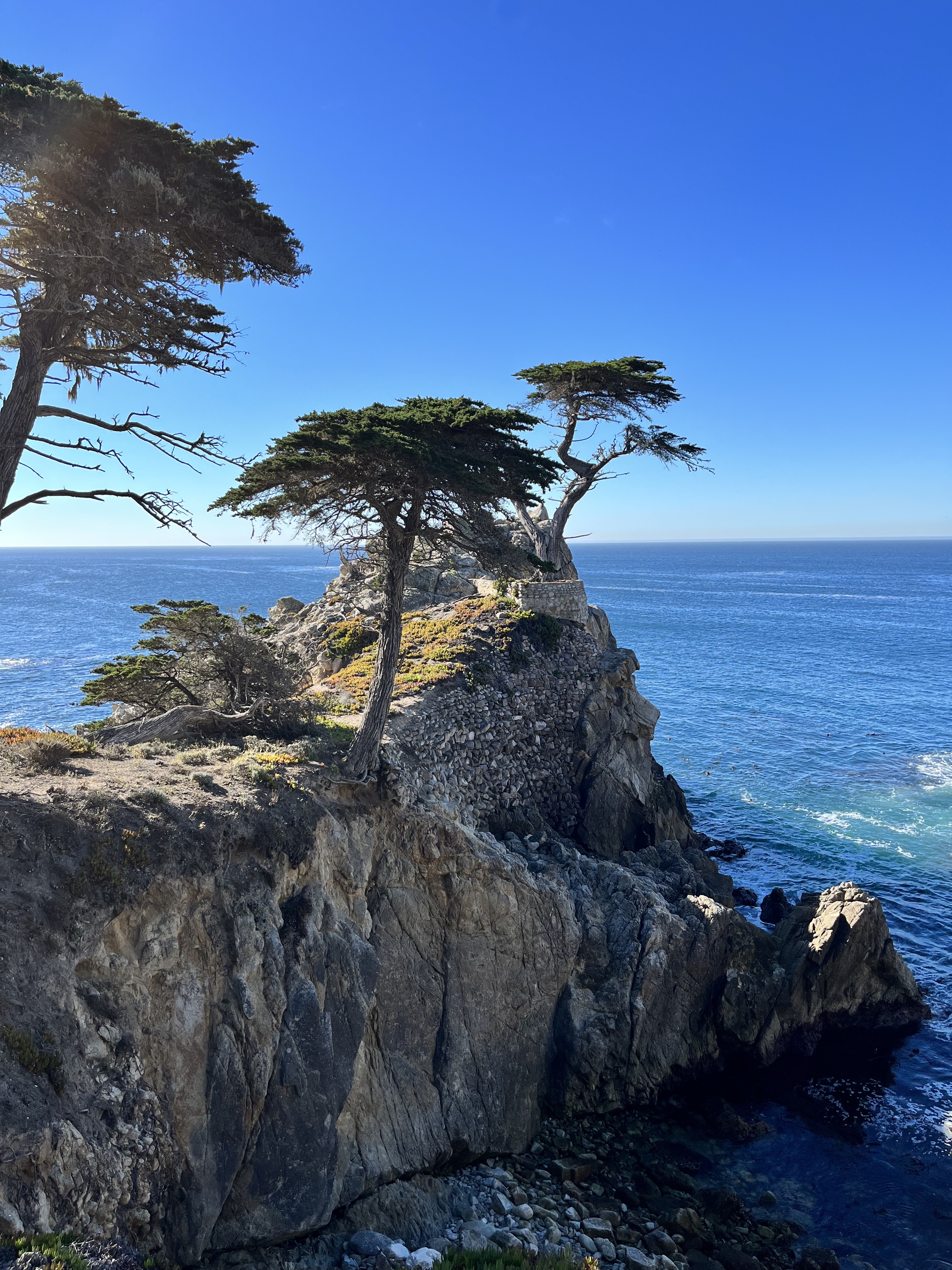 A Weekend Trip to California’s Central Pacific Coast